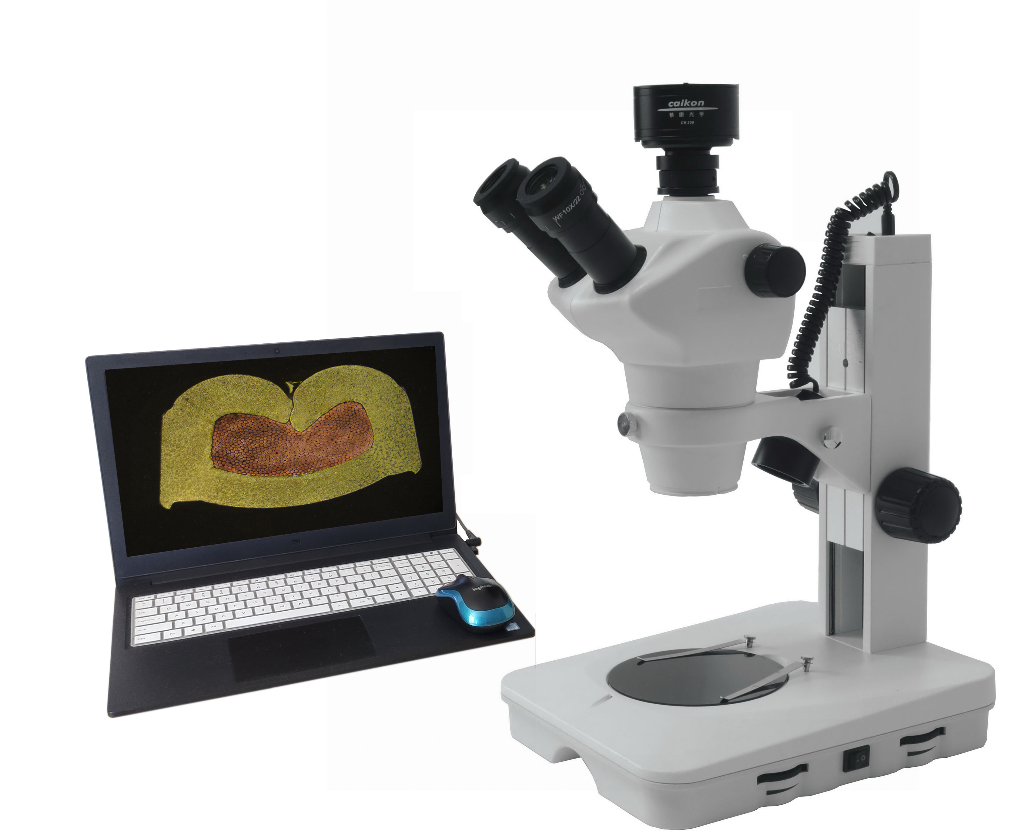 ���ӽ������������������