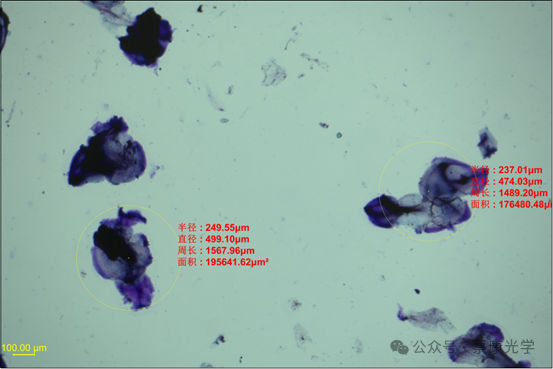 ����͸�����������������������ڼ�ֵ����΢�������� 