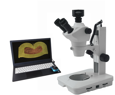 ���ӽ������������������