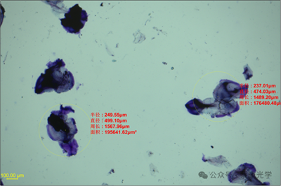 ����͸�����������������������ڼ�ֵ����΢�������� 