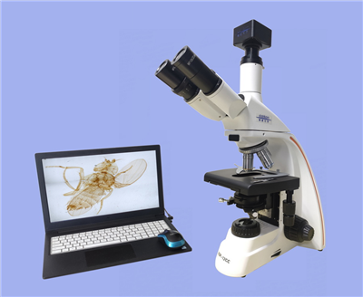 ��������Ŀ������΢��XSP-12CC