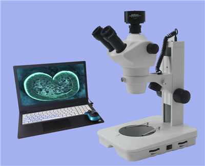 DZ6F-200���ӽ��������