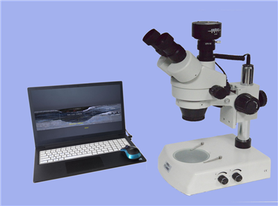 �����������䱶������΢�� XTL-3000C