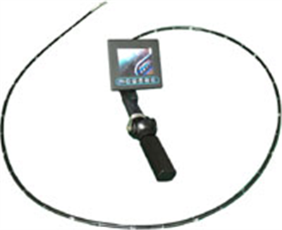 �����ڿ���